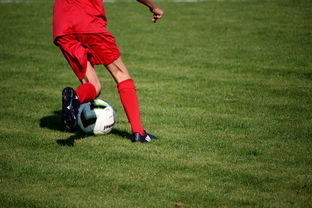 kaiyun体育综合-内线球员在快节奏体系下的功能性演变，内线球员的主要作用